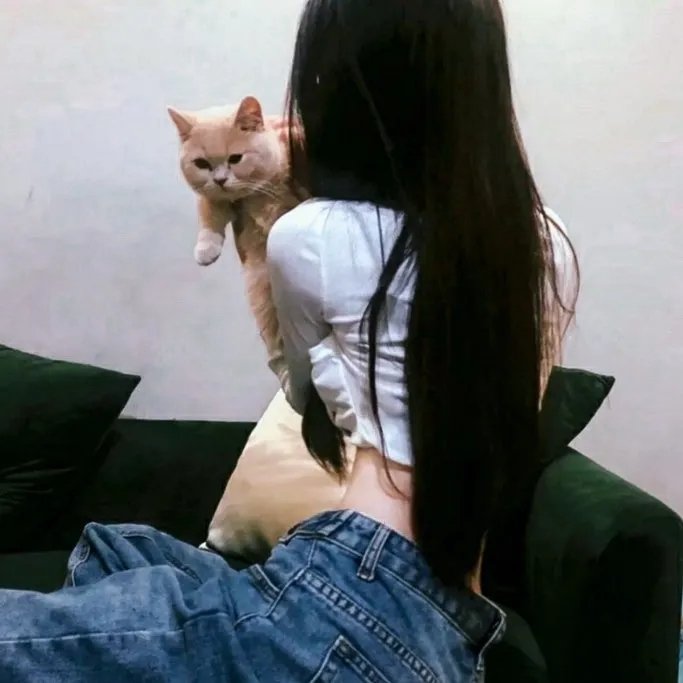 派特森
