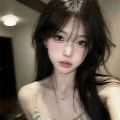 壳中少女 排气